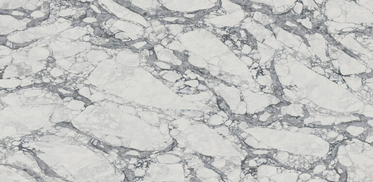 Image of: Arabescato Vagli