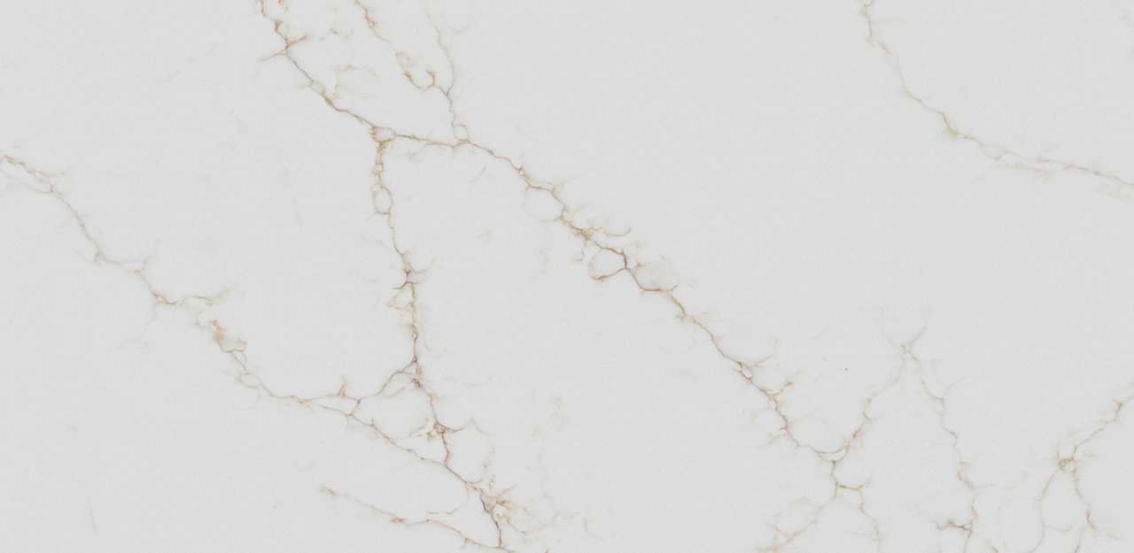 Image of: Statuario Oro Polished Finish (Zoomed)